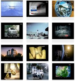 杭州风林文化传媒 专业媒体推广，赋能品牌新声量