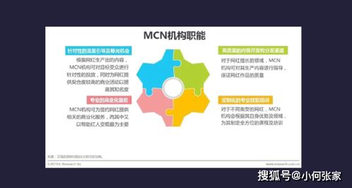 抖赞科技文化传媒 用镜头记录时代，以专业演绎视觉艺术