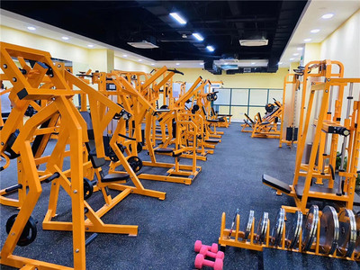 健身器材进出口与工艺品市场的价格分析